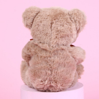 Мягкая игрушка &laquo;Ты лучше всех&raquo;, медведь, цвета МИКС