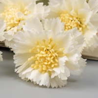 Цветы искусственные "Гвоздика каспар галант" 58х7 см, белый Цветы искусственные "Гвоздика каспар галант" 58х7 см, белый