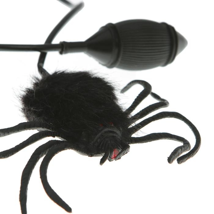 Прикол «Прыгающий паук» Прикол «Прыгающий паук»