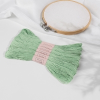 Набор ниток мулине №966, 8 ± 1 м, 6 шт, цвет нежно-зелёный Набор ниток мулине №966, 8 ± 1 м, 6 шт, цвет нежно-зелёный