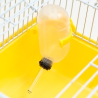 Клетка для грызунов "Пижон", 27 х 21 х 17 см, жёлтая Клетка для грызунов "Пижон", 27 х 21 х 17 см, жёлтая