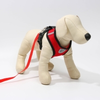 Шлейка дышащая с поводком и светоотражающей нашивкой, M, ОШ 33, ОГ 32-43, красная Шлейка дышащая с поводком и светоотражающей нашивкой, M, ОШ 33, ОГ 32-43, красная