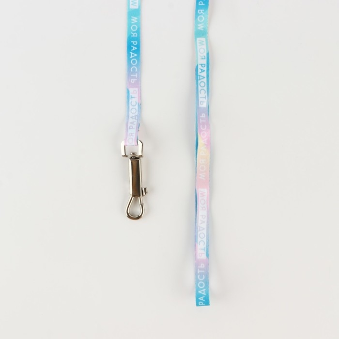 Комплект &laquo;Моя радость&raquo;, шлейка 24-36 см, поводок 120х1 см