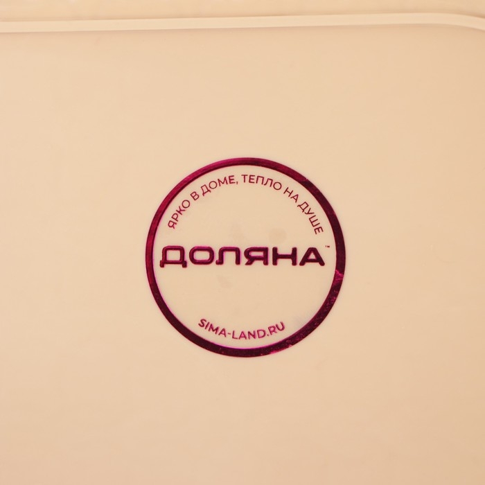 Поднос пластиковый прямоугольный Доляна &laquo;Плетение&raquo;, 32&times;23&times;5 см, цвет МИКС