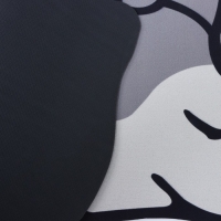 Коврик для дома Доляна «Хаски», влаговпитывающий, 59×39 см Коврик для дома Доляна «Хаски», влаговпитывающий, 59×39 см