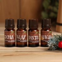 Набор эфирных масел 4 шт по 10 мл "Здоровья в Новом году!" Набор эфирных масел 4 шт по 10 мл "Здоровья в Новом году!"