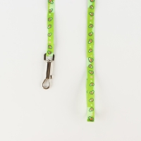 Комплект &laquo;Авокадо&raquo;, шлейка 24-36 см, поводок 120х1 см