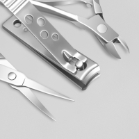 Набор маникюрный &laquo;Рептилия&raquo;, 6 предметов, в футляре, цвет красный