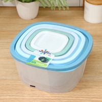 Набор пищевых контейнеров «BioFresh», 5 шт: 0,23 л, 0,5 л, 0,9 л, 1,55 л, 2,65 л, прозрачные, крышки микс Набор пищевых контейнеров «BioFresh», 5 шт: 0,23 л, 0,5 л, 0,9 л, 1,55 л, 2,65 л, прозрачные, крышки микс