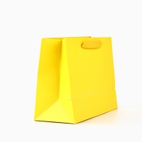 Пакет ламинированный вертикальный &laquo;С Днём рождения&raquo;, глиттер, MS, 23 х 18 х 10 см