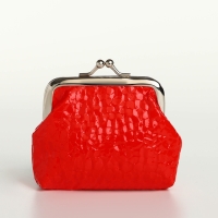 Кошелёк женский на фермуаре, цвет красный Кошелёк женский на фермуаре, цвет красный