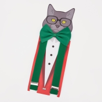 Подтяжки детские &laquo;Выбражулька&raquo;, ширина 2.5 см, бабочка, цвет зелёный