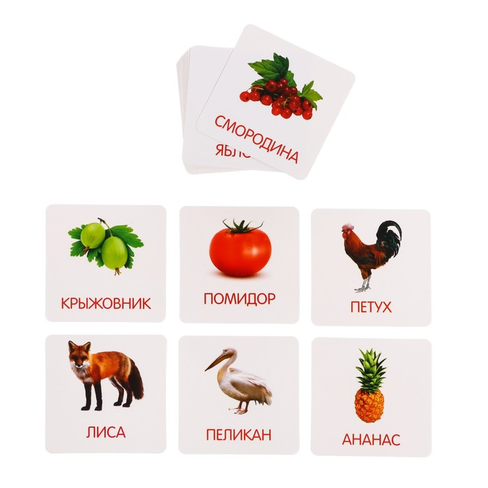 Развивающий набор с молоточками &laquo;Карточки Г.Домана&raquo;