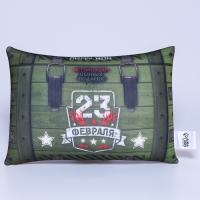 Подушка антистресс &laquo;23.02&raquo;, 30 х 20 см