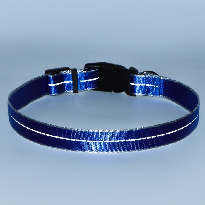 Ошейник светоотражающий Ошейник светоотражающий "Неон", ширина 2,5 см, синий
