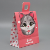 Пакет подарочный с формовым клапаном, упаковка, &laquo;Котик&raquo;, 23 х 27 х 11.5 см