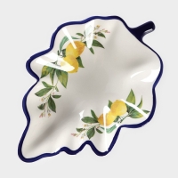 Блюдо сервировочное Доляна «Лимон», 21×15 см, цвет белый Блюдо сервировочное Доляна «Лимон», 21×15 см, цвет белый