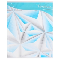 Комплект тетрадей из 5 штук, 48 листов в линию Calligrata "Графика-2", обложка мелованный картон, блок №2, белизна 75% (серые листы)