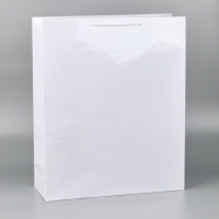 Пакет подарочный ламинированный, упаковка, «Белый», 40 х 49 х 15 см Пакет подарочный ламинированный, упаковка, «Белый», 40 х 49 х 15 см