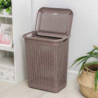Корзина бельевая с крышкой, 50 л, 42×31×56 см, цвет МИКС Корзина бельевая с крышкой, 50 л, 42×31×56 см, цвет МИКС