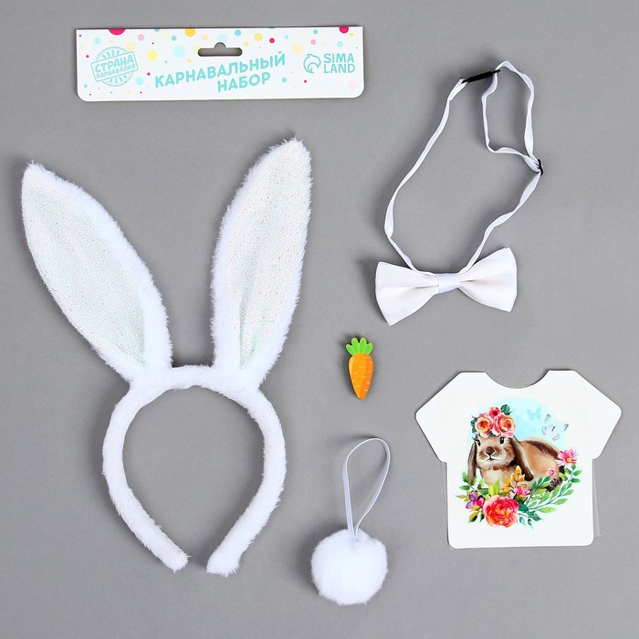 Карнавальный костюм &laquo;Милашка&raquo; термонаклейка, ободок, бабочка, брошка, хвостик, МИКС