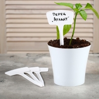 Таблички садовые для маркировки, 20 см, набор 10 шт., пластик, белые, Greengo Таблички садовые для маркировки, 20 см, набор 10 шт., пластик, белые, Greengo