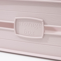 Ящик для хранения, 22,7&times;17&times;9,5 см, цвет МИКС