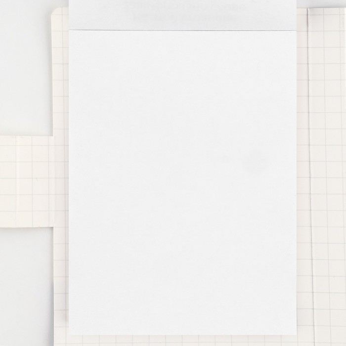 Подарочный набор в открытке: отрывной блок с заданиями и карандаши &laquo;Енот&raquo;