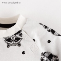 Комплект: джемпер и брюки Крошка Я &laquo;Еноты&raquo;, рост 80-86 см