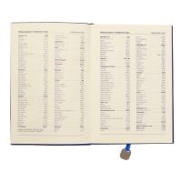 Ежедневник недатированный А5, 120 листов в клетку, обложка ЛАЙТ, МИКС