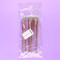 Набор кистей для макияжа &laquo;Нежность&raquo;, 5 шт, 19 &times; 8 см, BEAUTY FOX