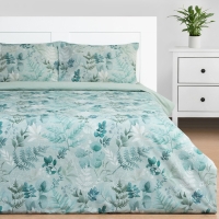 Постельное бельё Этель Евро «Эвкалипт» 200х217 см, 220х240 см, 50х70 см -2 шт, поплин Постельное бельё Этель Евро «Эвкалипт» 200х217 см, 220х240 см, 50х70 см -2 шт, поплин