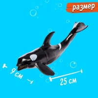 Фигурка животного «Морской житель», цвет МИКС Фигурка животного «Морской житель», цвет МИКС