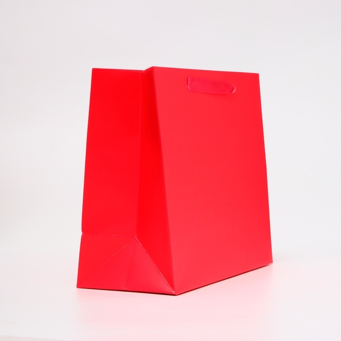 Пакет ламинированный горизонтальный «Фуксия», ML 27 × 23 × 11.5 см Пакет ламинированный горизонтальный «Фуксия», ML 27 × 23 × 11.5 см