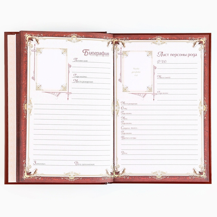 Родословная книга с новогодним пояском &laquo;Новый год: Каждый день&raquo;, 16,5 х 24 см.