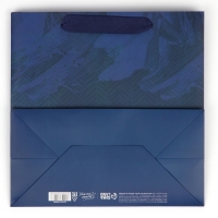 Пакет подарочный ламинированный квадратный, упаковка, «Настоящему мужчине», 22 х 22 х 11 см Пакет подарочный ламинированный квадратный, упаковка, «Настоящему мужчине», 22 х 22 х 11 см