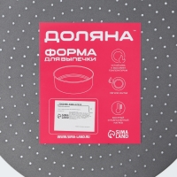 Форма для выпечки Доляна Galaxy перфорированная, 26&times;3 см, съёмное дно, антипригарное покрытие