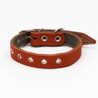 Ошейник комбинированный кожа/брезент, безразмерный, 54 х 2.5 см, ОШ 17-45 см, рыжий Ошейник комбинированный кожа/брезент, безразмерный, 54 х 2.5 см, ОШ 17-45 см, рыжий