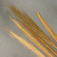 Сухоцветы для декора &laquo;Камыш&raquo;, набор 5 шт. 113 &times; 5 &times; 5 см