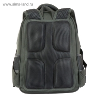 Рюкзак школьный Bruno Visconti "Панда моя!", 40 х 30 х 19 см, эргономичная спинка, пенал в подарок