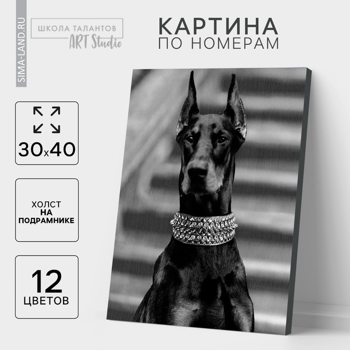 Картина по номерам на холсте с подрамником «Доберман», 30х40 см Картина по номерам на холсте с подрамником «Доберман», 30х40 см