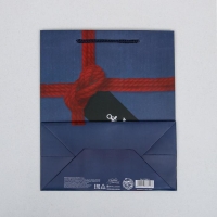 Пакет подарочный ламинированный вертикальный, упаковка, &laquo;Just for you&raquo;, ML 23 х 27 х 11,5 см