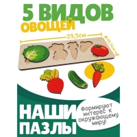 Рамка-вкладыш &laquo;Овощи&raquo;, 5 элементов