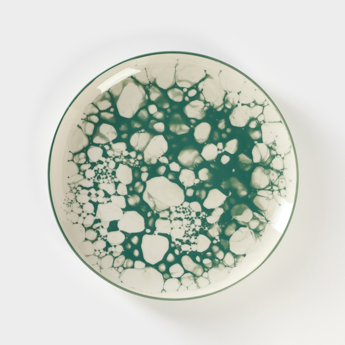 Тарелка керамическая «Пена», d=26,5 см Тарелка керамическая «Пена», d=26,5 см