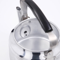 Чайник &laquo;Полированный&raquo;, 2 л