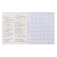 Тетрадь предметная "Пёс и Кот" 48 листов в клетку "История", обложка мелованный картон, металлизированная краска, ВД-лак, блок офсет Тетрадь предметная "Пёс и Кот" 48 листов в клетку "История", обложка мелованный картон, металлизированная краска, ВД-лак, блок офсет