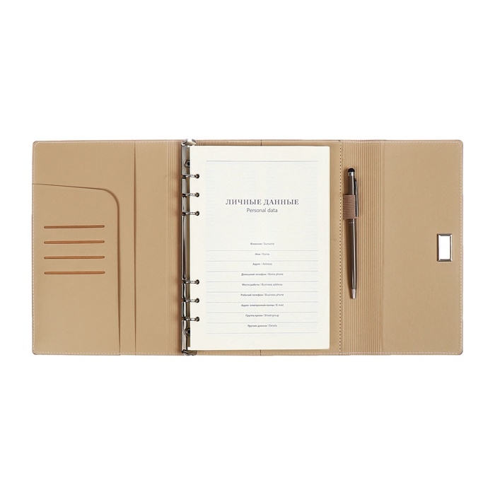 Органайзер на кольцах А5, 100л, линия, к/зам, с ручкой, в подар. короб., Серый Органайзер на кольцах А5, 100л, линия, к/зам, с ручкой, в подар. короб., Серый