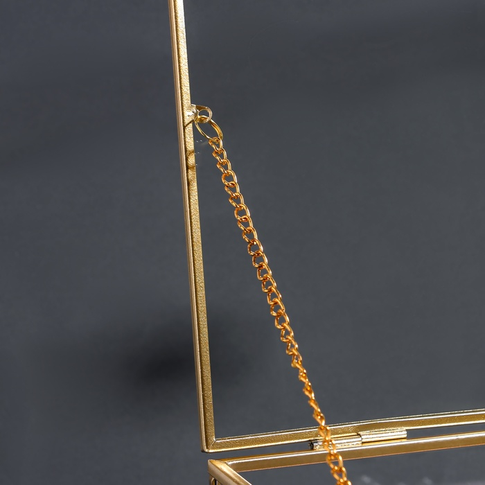 Органайзер для хранения «Кристалл», с крышкой, стеклянный, 1 секция, 25 × 18,3 × 11 см, цвет прозрачный/медный/розовый Органайзер для хранения «Кристалл», с крышкой, стеклянный, 1 секция, 25 × 18,3 × 11 см, цвет прозрачный/медный/розовый