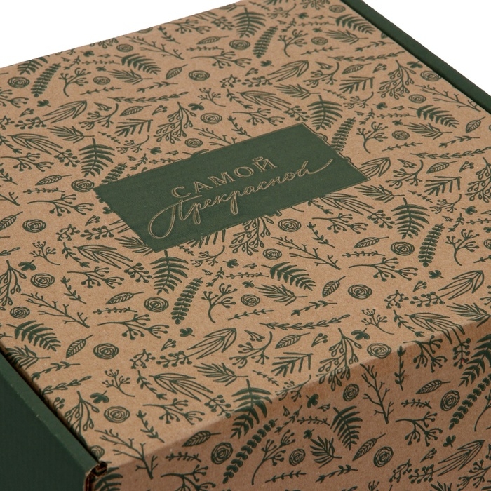 Коробка складная &laquo;Ботаника&raquo;, 24 х 24 х 12 см