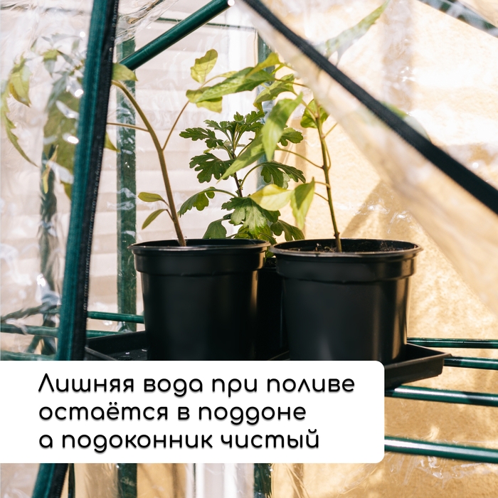 Набор для рассады: стаканы по 520 мл (8 шт.), поддон 40 &times; 30 см, чёрный, Greengo